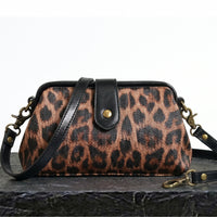 Safari Leopardo